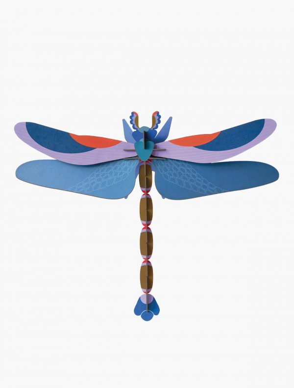 STUDIO ROOF - Libellula Blu - immagine 2