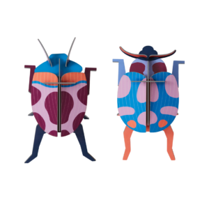 STUDIO ROOF - Coccinelle