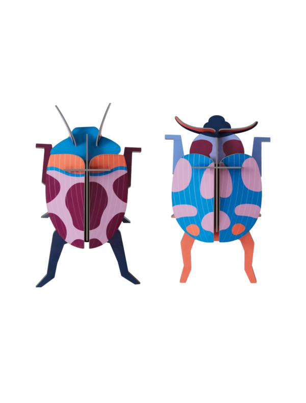 STUDIO ROOF - Coccinelle