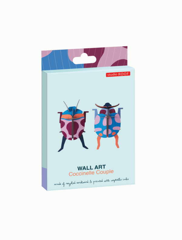 STUDIO ROOF - Coccinelle - immagine 2