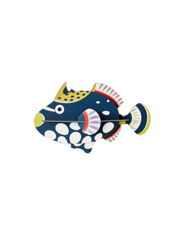 STUDIO ROOF - Pesce Palla - immagine 2