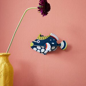 STUDIO ROOF - Pesce Palla