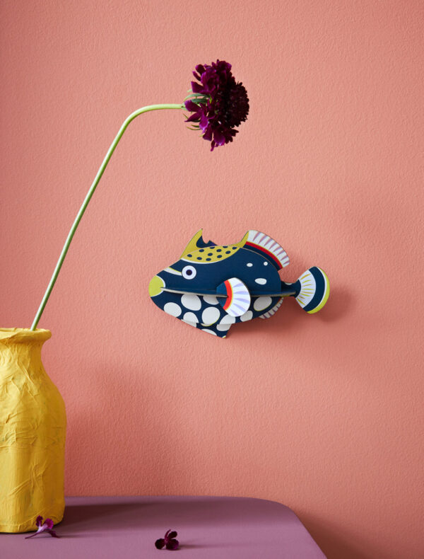 STUDIO ROOF - Pesce Palla