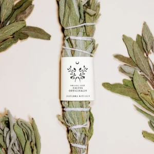 DATERRA RITUALS - Smudge Salvia Bianca BIO