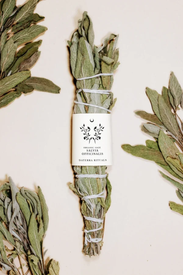 DATERRA RITUALS - Smudge Salvia Bianca BIO