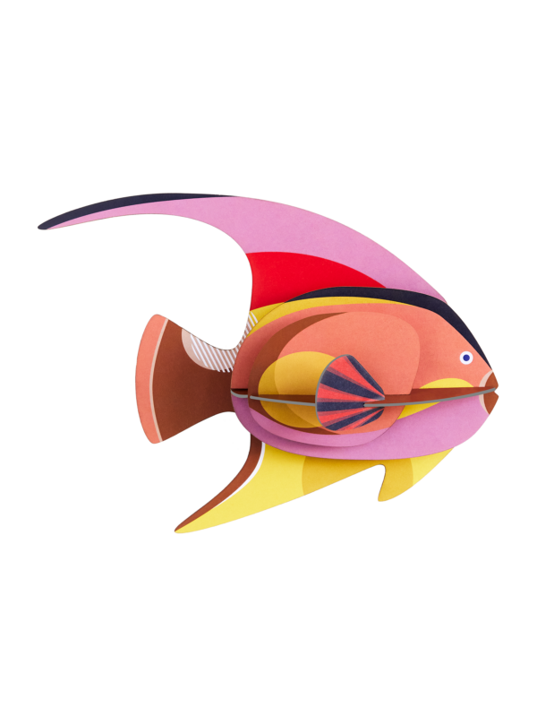 STUDIO ROOF - Pesce Blackcap - immagine 2