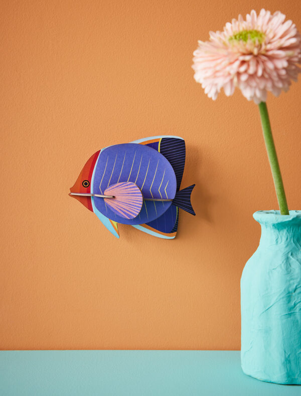 STUDIO ROOF - Pesce Farfalla