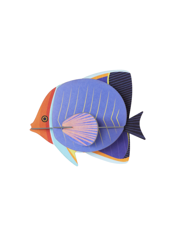 STUDIO ROOF - Pesce Farfalla - immagine 2