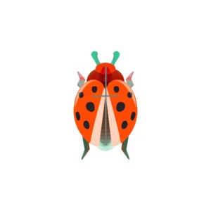 STUDIO ROOF - Coccinella Rouge