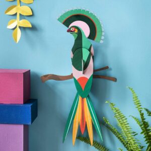 STUDIO ROOF - Paradise Bird Gili